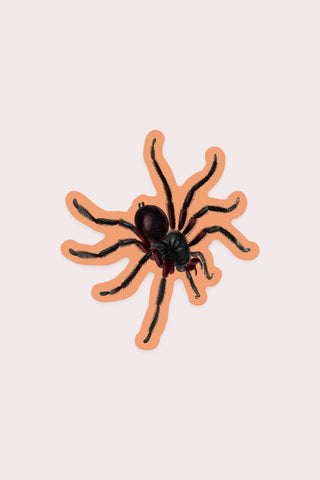 Curious Spider Vinyl Sticker