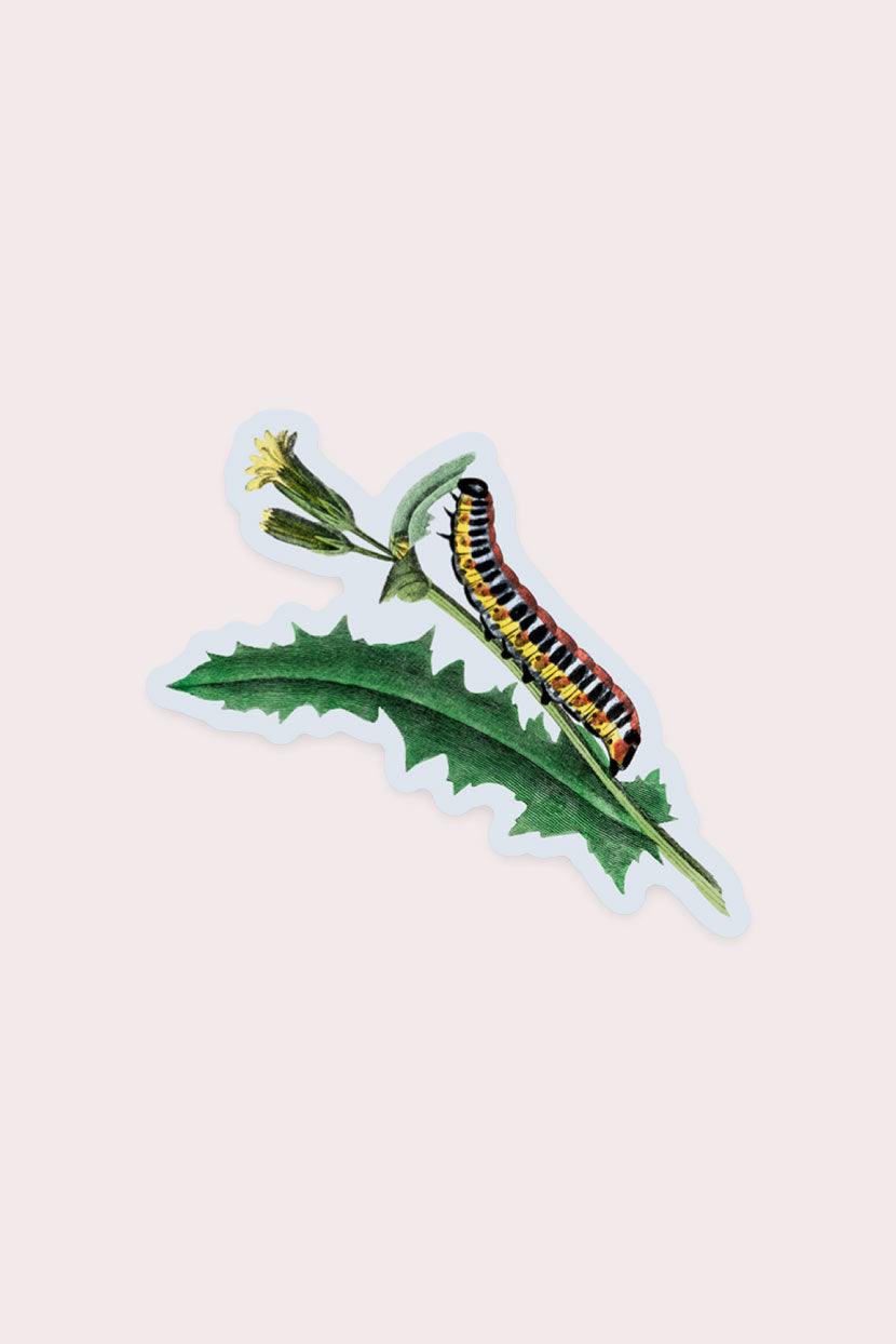 Nosy Caterpillar Vinyl Sticker