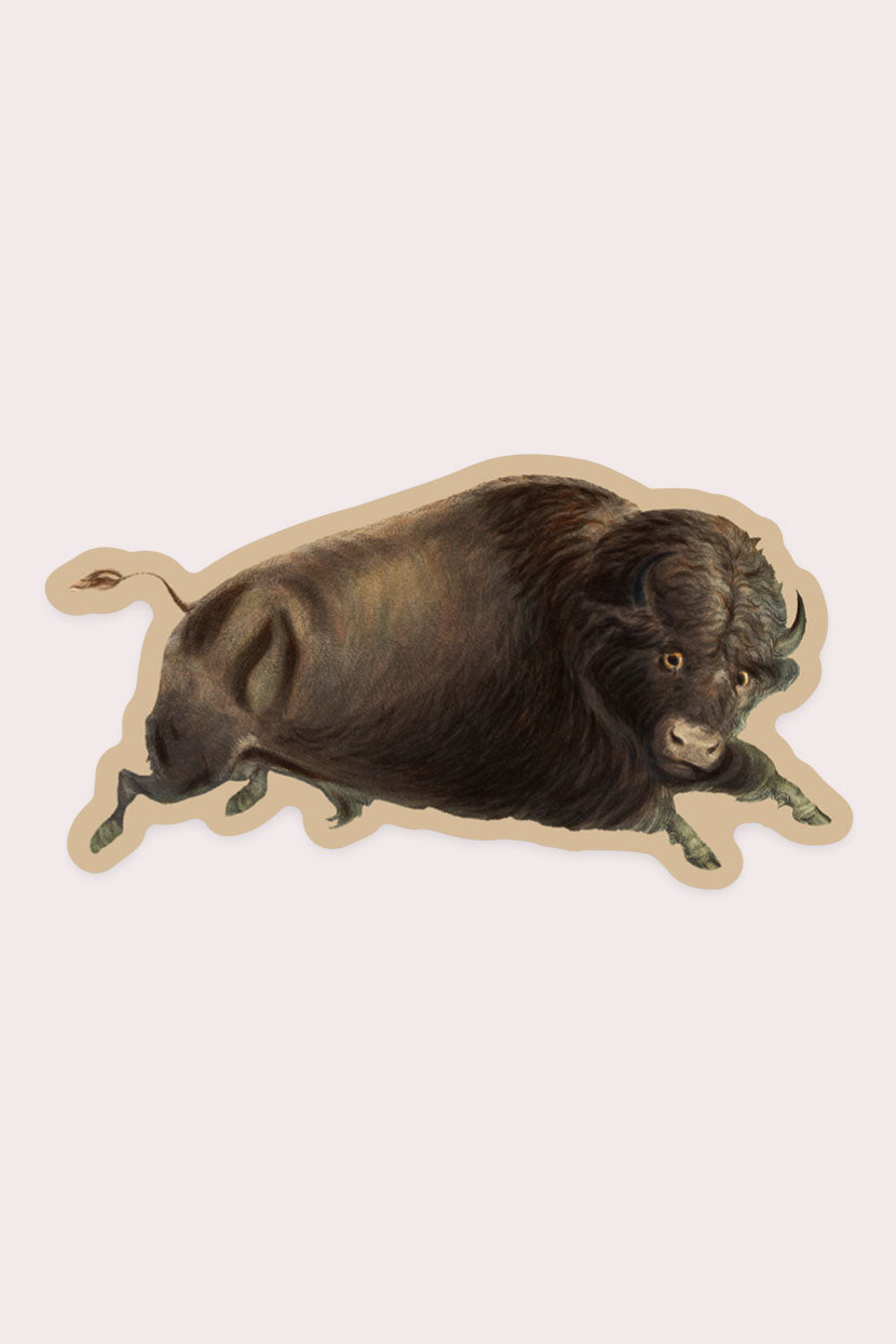 Bitter Buffalo Vinyl Sticker