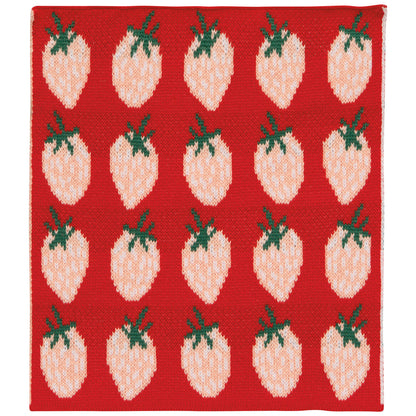 Berry Sweet -  Knit Dishcloth Set