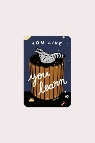 Live and Learn (Raccoon) Vinyl Sticker