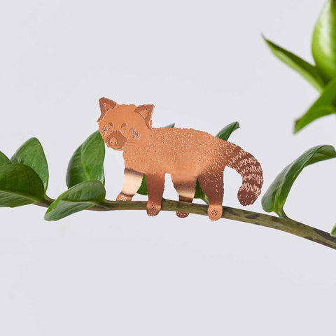 Red Panda - Plant Animal