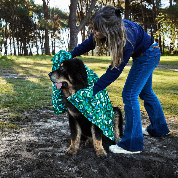 Where's Woofy - Large Dog Towel