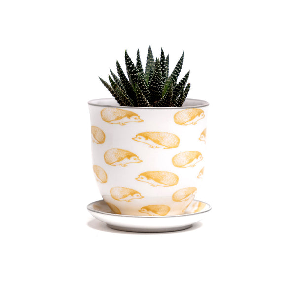 Yellow Hedgehog - Liberte Pot + Saucer