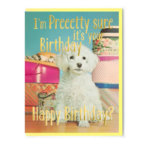 Pretty Sure It's Your Birthday Card