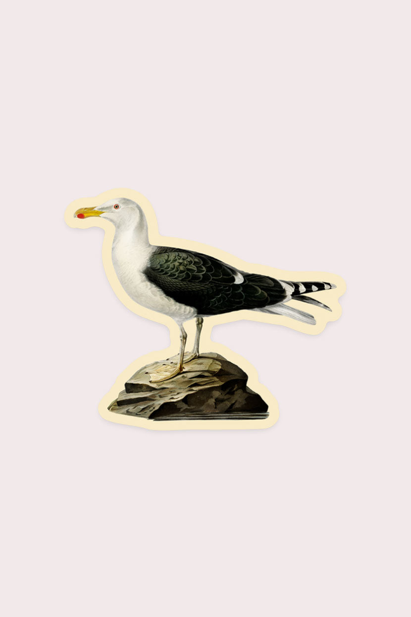 Dismayed Gull Vinyl Sticker