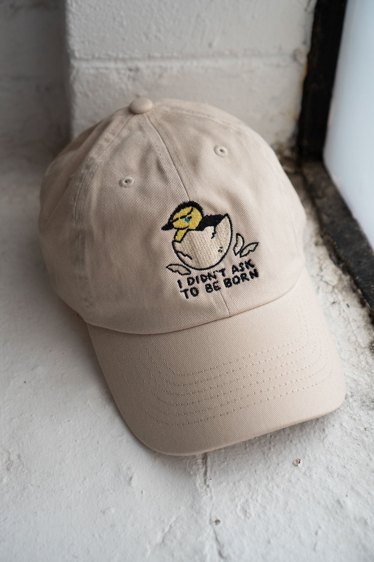 Didn't Ask To Be Born Dad Hat