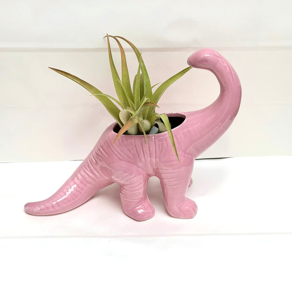 Dinosaur Planter - Brontosaurus