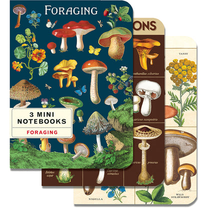 Foraging Mini Notebooks