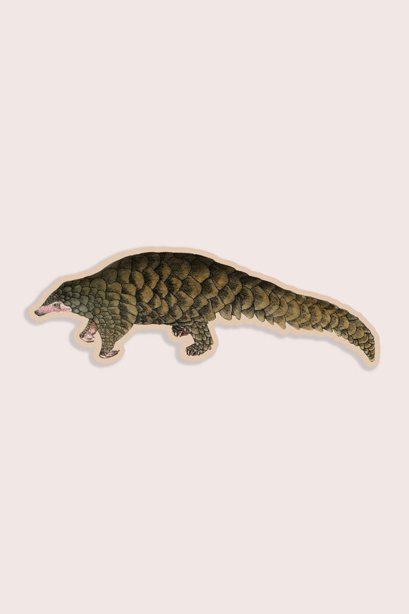 Purposeful Pangolin Vinyl Sticker