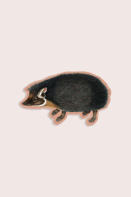 Humble Hedgehog Vinyl Sticker