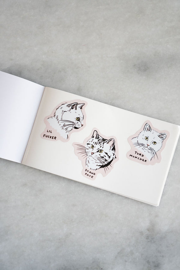 Scrappy Raccoon - Pocket Sticker Book