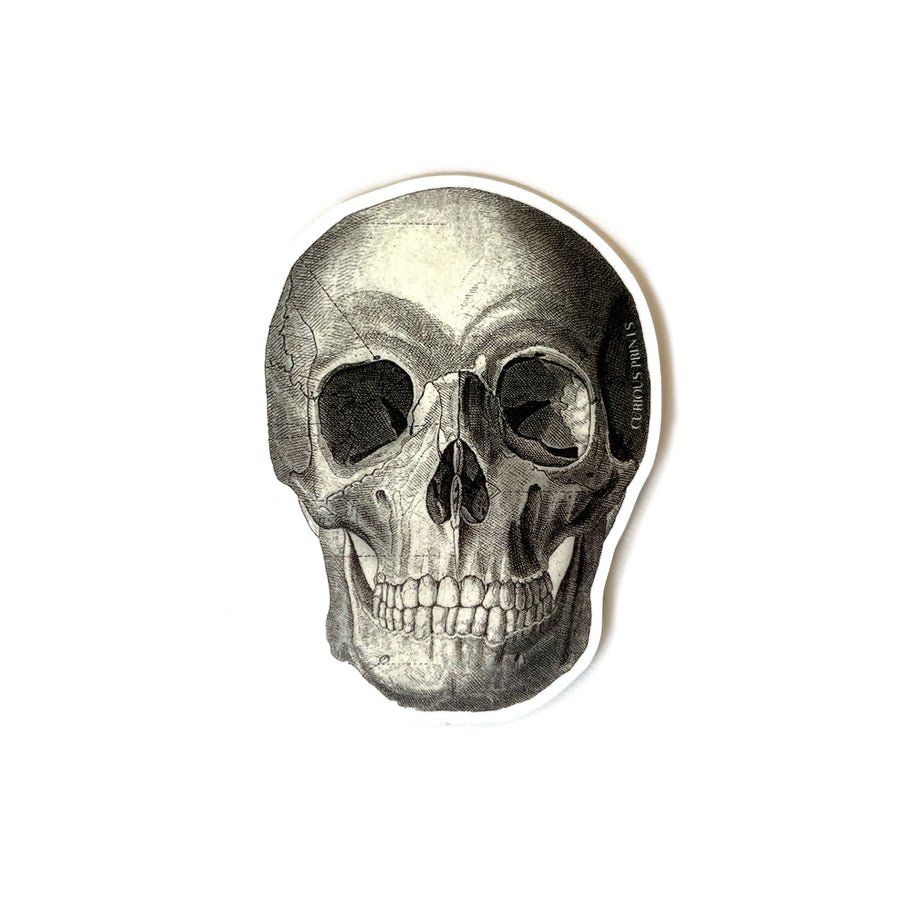 Skull Vintage Sticker