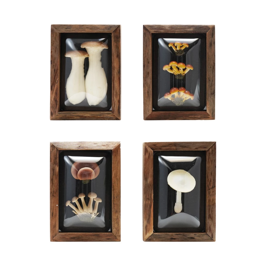 Shadow Box Mushrooms - 4 Styles