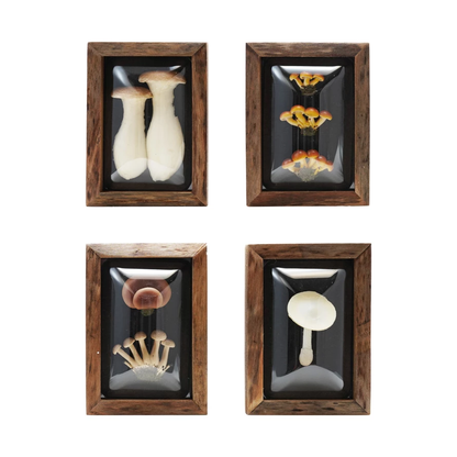 Shadow Box Mushrooms - 4 Styles