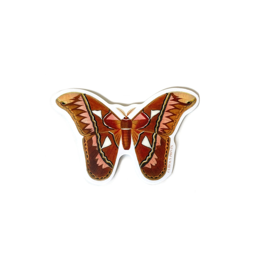 Atlas Moth Vintage Sticker