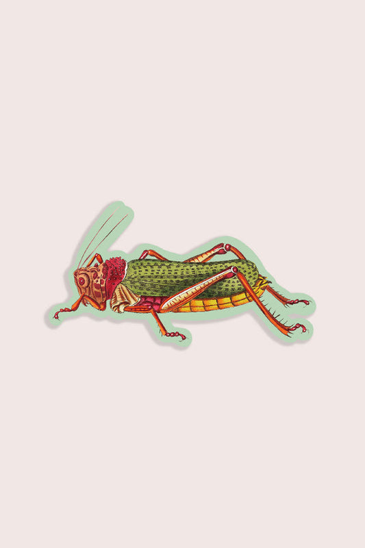 Lairy Locust Vinyl Sticker