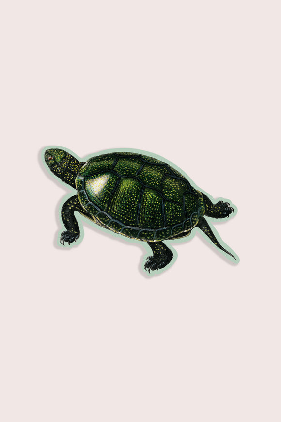 Total Turtle Vinyl Sticker