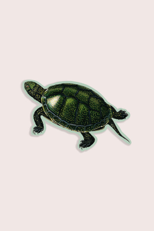Total Turtle Vinyl Sticker