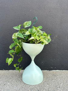 Leona Floor Pot Light Green - 11"