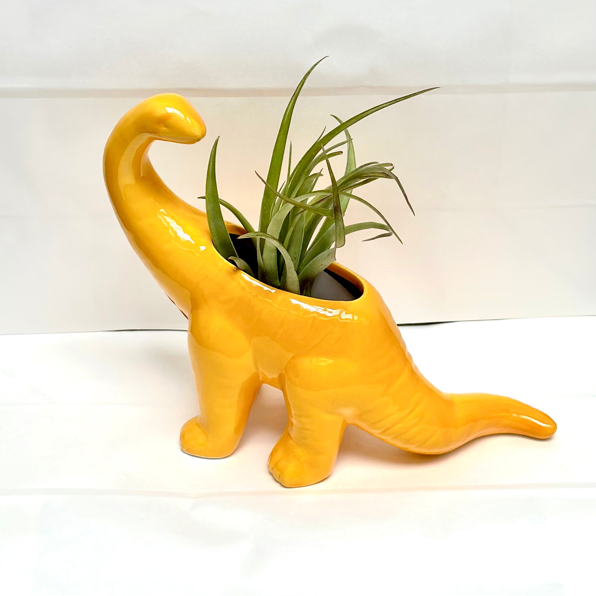 Dinosaur Planter - Brontosaurus