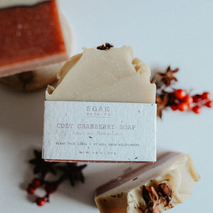 Bar Soap - Cozy Cranberry