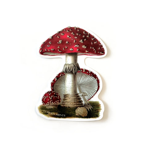 Mushroom Vintage Sticker