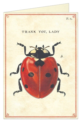 Thank You Lady Bug Card