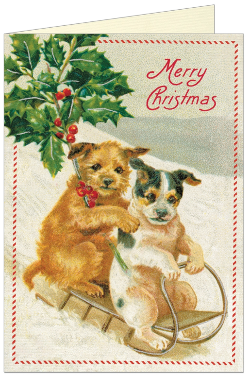 Merry Christmas Dogs Card