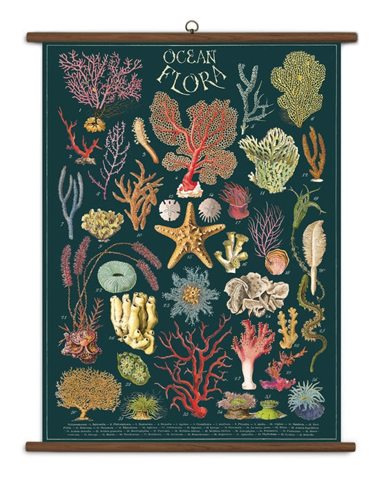 Vintage Ocean Flora Chart