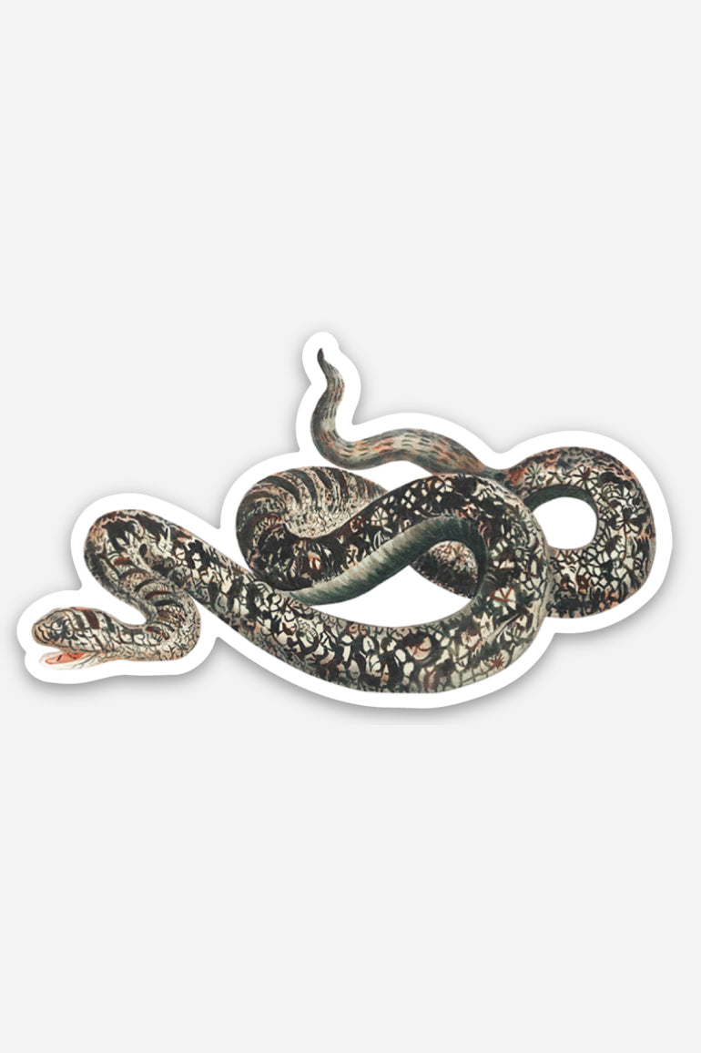 Appalled Snake Vinyl Sticker