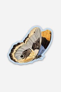 Unconcerned Butterfly Vinyl Sticker