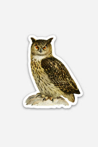 Disgusted Owl Vinyl Sticker