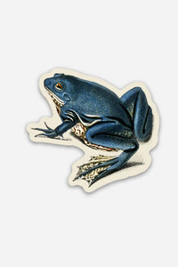 Exasperated Frog Vinyl Sticker