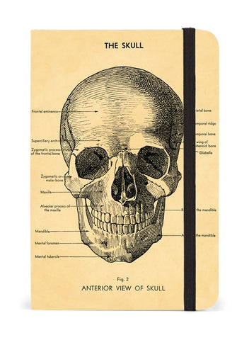 Skull Notebook - Small