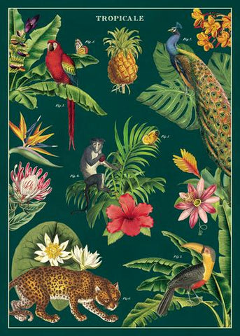 Tropicale Poster Wrap