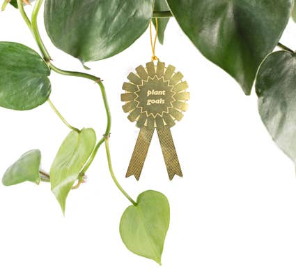 Plant Goals - Plant Award