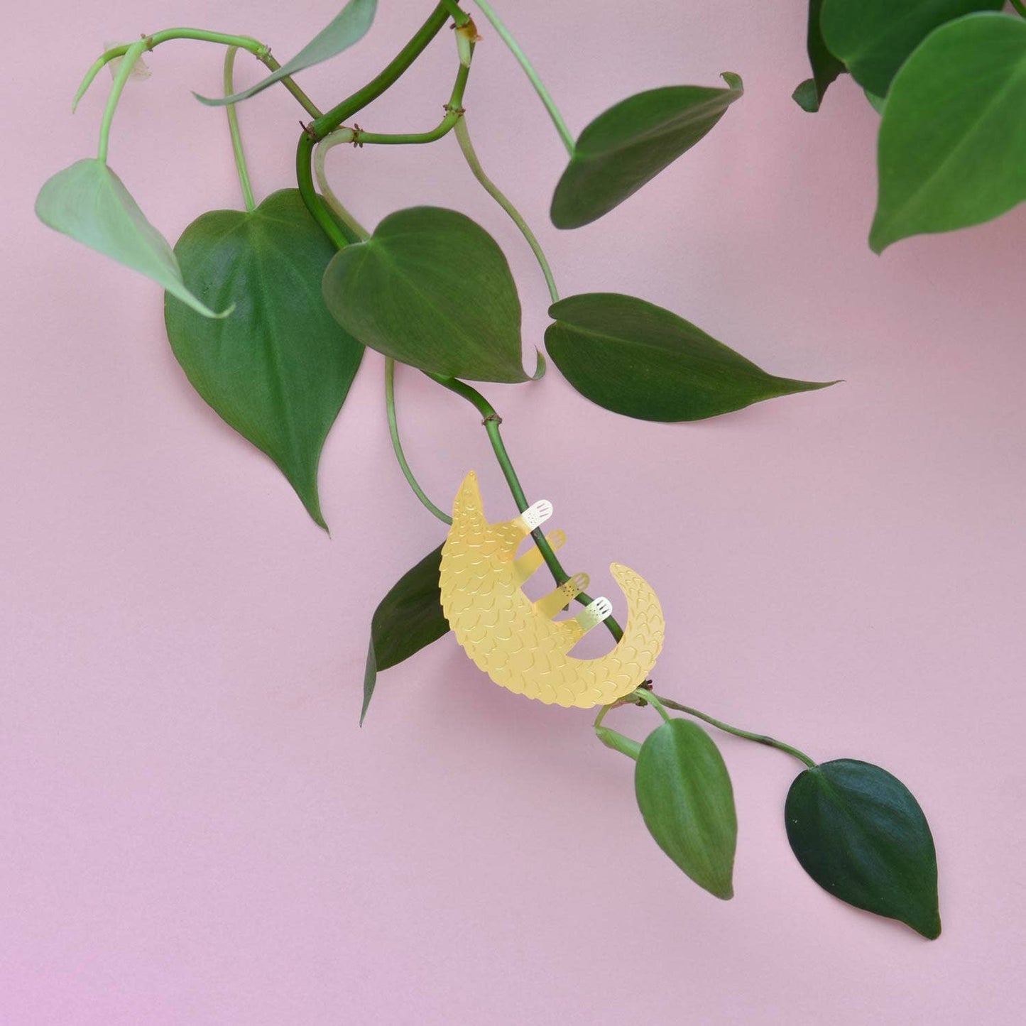 Pangolin - Plant Animal