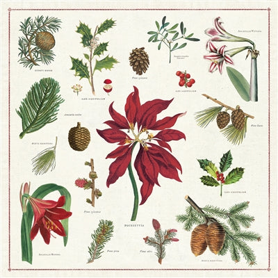 Vintage Christmas Napkin S/4 - Botanicals