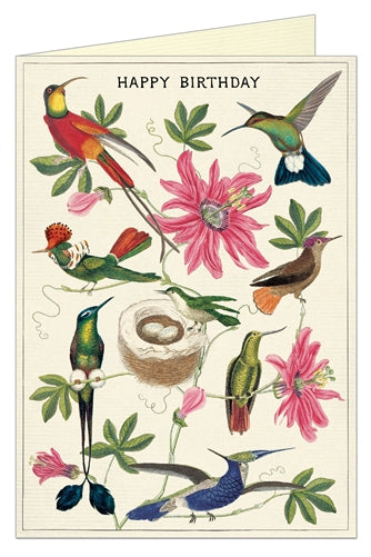 Hummingbirds Birthday Card
