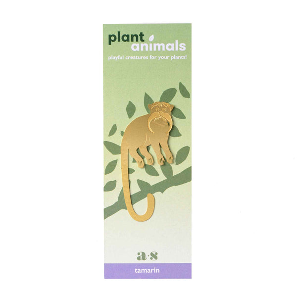 Tamarin Monkey - Plant Animal