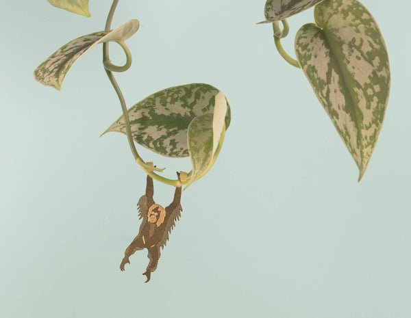 Orangutan - Plant Animal
