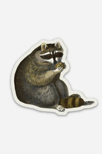 Unbothered Raccoon Vinyl Sticker